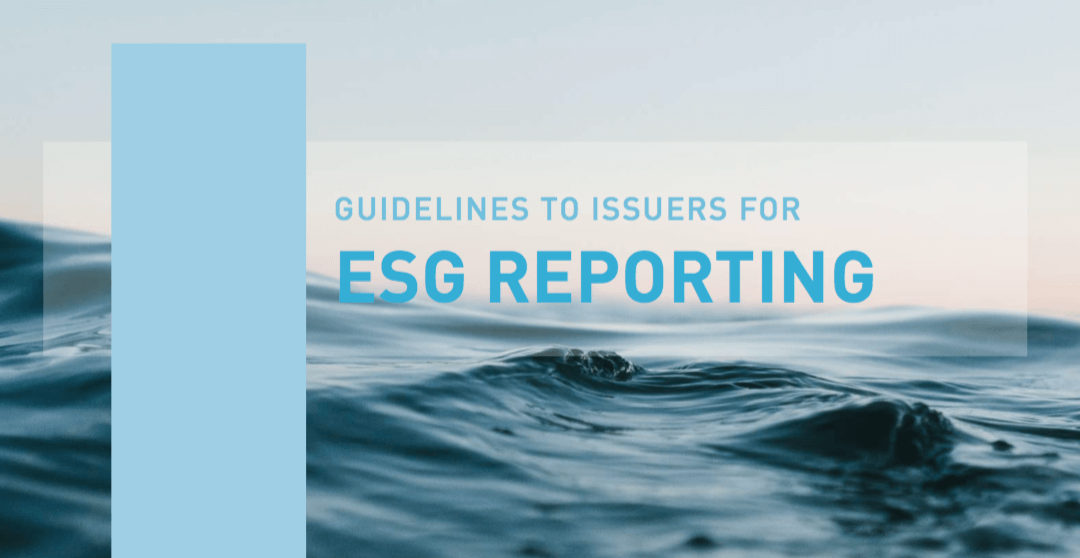GUIA ESG PARA EMPRESAS COTADAS
